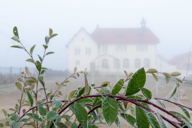 lieux de réception dans la brume