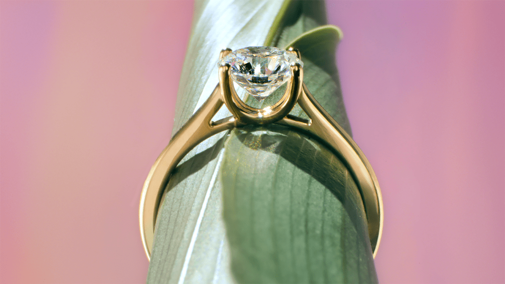 Alliances pour un mariage