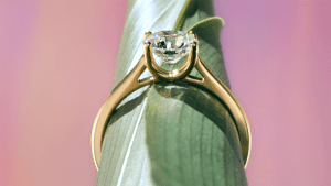 Alliances pour un mariage